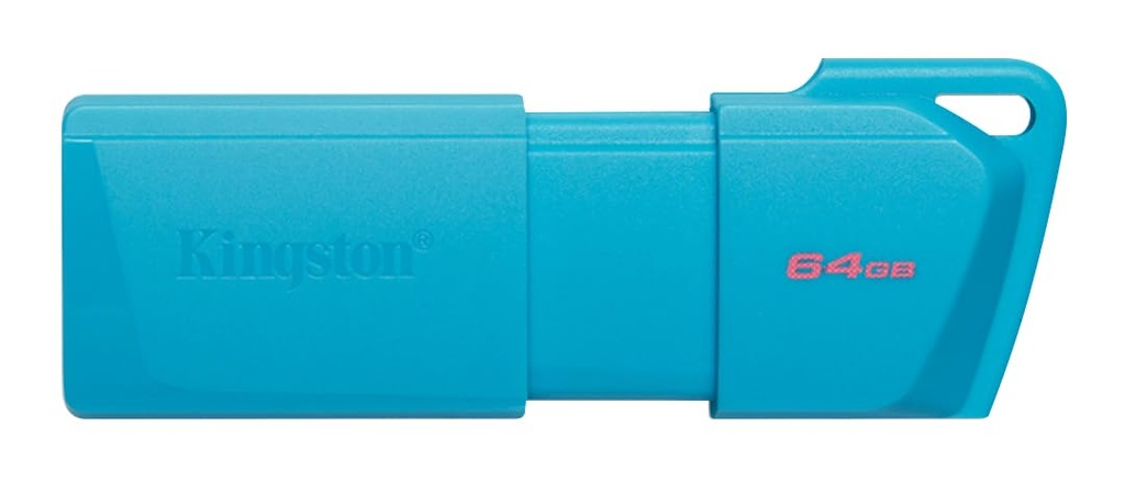 Kingston - USB flash drive - 64 GB