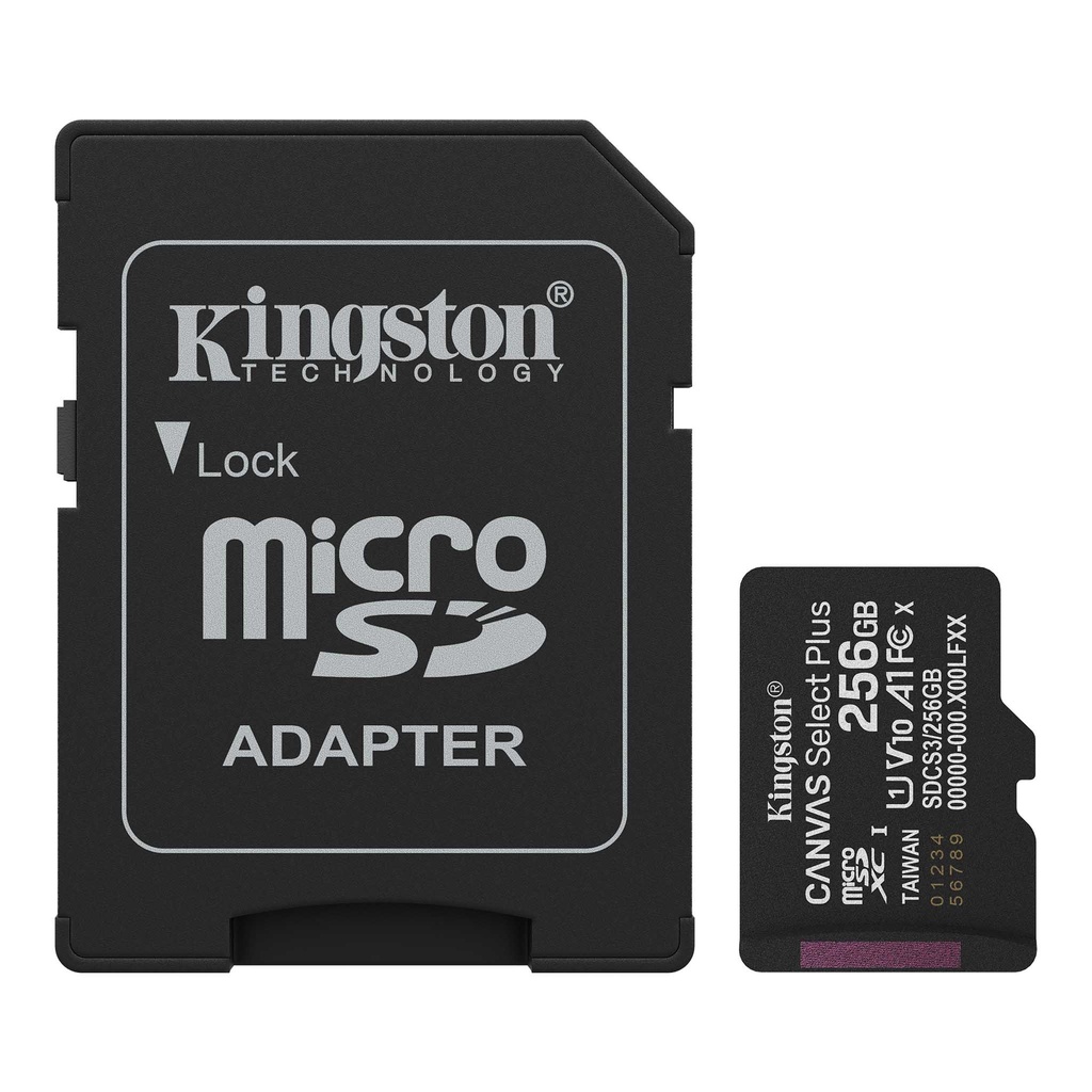 Kingston - Flash memory card - 256 Gb